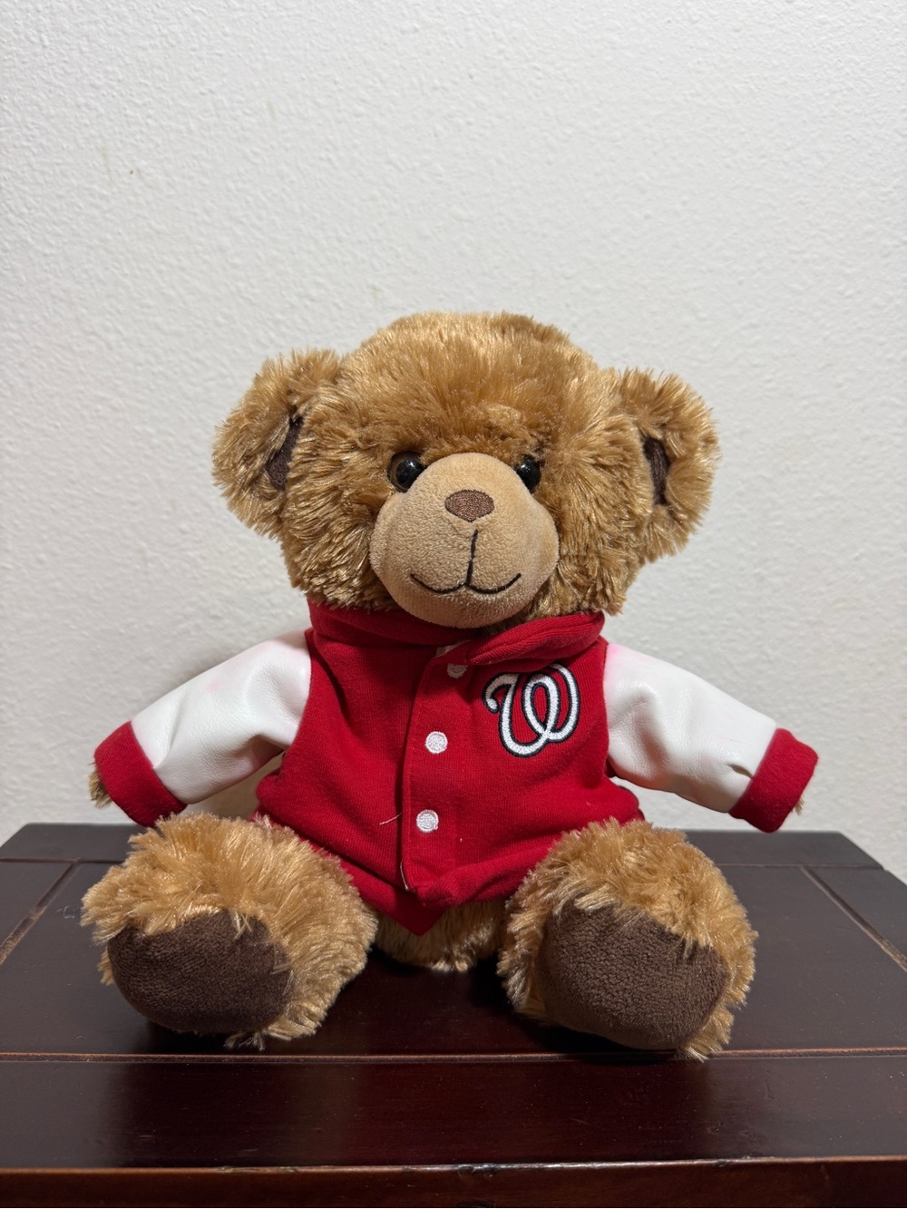 Washington Nationals Plush Bear 2019 World Series Champions FOCO Hooded Jacket